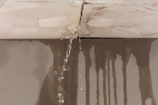 Professional Commercial Water Damage Restoration technician working in Crescent, IA